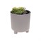 Кашпо IDEA ШЭНК D220 мм, 6,5л с вставкой и с автополивом французcкий серый М 3242 французcкий - фото 15747284