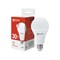 Светодиодная лампа IN HOME LED-A70-VC - фото 15764437