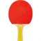 Ракетка для игры в пинг-понг Ecos PPR-02 - фото 15782991