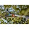 Сучкорез комбисистемы GARDENA AL - фото 15795833