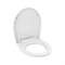 Сидение для унитаза РемоКолор 61-0-052 - фото 15869234