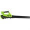 Аккумуляторный воздуходув GreenWorks 2400807USB4 - фото 16025310