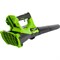 Аккумуляторный воздуходув GreenWorks 2400807USB4 - фото 16025314