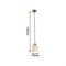Подвесной светильник Favourite 2910-1P - фото 16045007