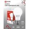 Светодиодная лампа IN HOME LED-A60-VC - фото 16051025