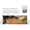 Пропитка для защиты древесины Dufa Wood Protect - фото 16073460