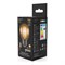 Лампа GAUSS LED Filament Шар - фото 16159086