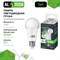 Лампочка светодиодная ALTECH LED Р60-17W-840-E27 - фото 16174797