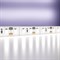 Светодиодная лента MAYTONI Led strip - фото 16432651