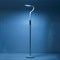Гибкий светодиодный торшер CITILUX Марк - фото 16462814