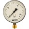 Радиальный манометр Watts F+R250 - фото 16519899