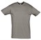 Футболка Regent 150, серый стальной - фото 16559959