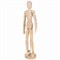 Манекен человека художественный BRAUBERG ART CLASSIC, женский, дерево, высота 30 см., 191290 - фото 16562664