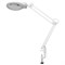 Настольная лампа светильник Леда С20 на струбцине, СВЕТОДИОДНАЯ, 8 Вт, ЛУПА (2/9 раз), белый - фото 16563268