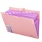 Папка-органайзер на кнопке 12 отделений, BRAUBERG "Extra", А4, персиковая с лавандовым, 271931 - фото 16563670