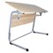 Стол-парта 2-местный, регулируемый угол, "Атлант", 1200х500х520-640 мм, рост 2-4, серый каркас, ЛДСП клён - фото 16566708