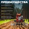 Бензиновый культиватор FERMER FM1508-4 - фото 16572155
