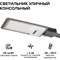 Уличный светильник WOLTA STL-50W/04 - фото 16576420