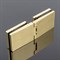 Петля стекло-стекло SERVICE PLUS P03-100BGD/brass - фото 16578457