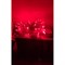 Светодиодная гирлянда GLQ GLQ -101C-5M-48-R - фото 16586113