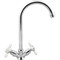 Смеситель для кухни ARCO DA VELLA A4516 - фото 16628045