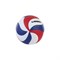 Волейбольный мяч LARSEN VB-ECE-5000B - фото 16652901