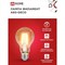 Светодиодная лампа IN HOME LED-A60-deco - фото 16770960