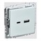 Розетка usb IEK Brite - фото 16808197