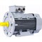 Общепромышленный электродвигатель ESQ PR 90 L2 GST-Б1-S12-IE2 - фото 16811607