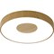 Потолочный светильник MANTRA coin - фото 16857745