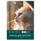 Бумага для пастели БОЛЬШАЯ А3 в папке, 20 листов 5 цветов, 180 гр/м2, BRAUBERG ART CLASSIC, 116346 - фото 16900490