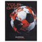 Дневник 1-11 класс 40 л., твердый, BRAUBERG, матовая ламинация, "Футбол", 107173 - фото 17260869