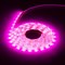 Светодиодная лента для растений ЭРА FITOStrip LightRB2m - фото 17291585